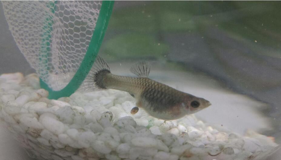 ��ȸ��Ϊʲô�а����㡢����������� ��Ϊʲô���Լ�����С��