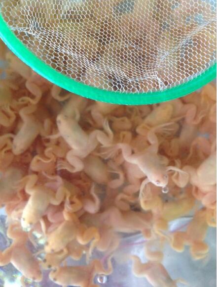 �������ʲô������α湫ĸ ����ܶ�����������