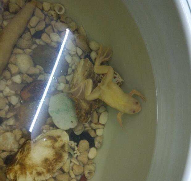 �������ʲô������α湫ĸ ����ܶ�����������