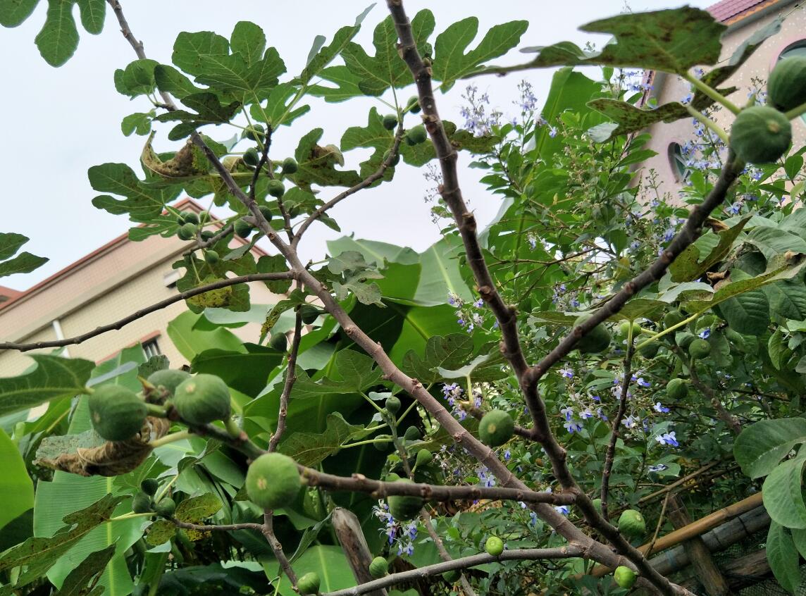 ũ��ͥԺ�����޻����� Ժ�����޻������ܲ�������ˮ