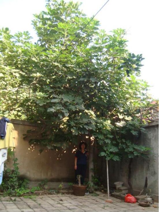 ũ��ͥԺ�����޻����� Ժ�����޻������ܲ�������ˮ