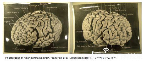 �������̴ﵽ500������ �����̵���˵���ص���������