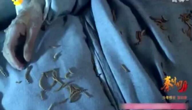 �½�ͷ��Ĵ����� ��ʲô��˼�п�ѧ������