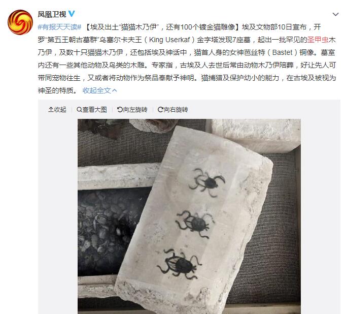 ������ݵ�ʥ�׳澹Ȼ��ʺ���� ʥ�׳沢�������