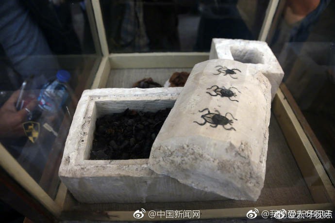 ������ݵ�ʥ�׳澹Ȼ��ʺ���� ʥ�׳沢�������