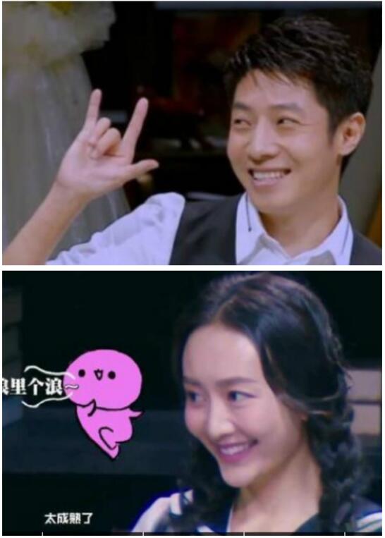 ��Ÿ��������ʲô��ϵ ��Ÿ�����������ܺ�����