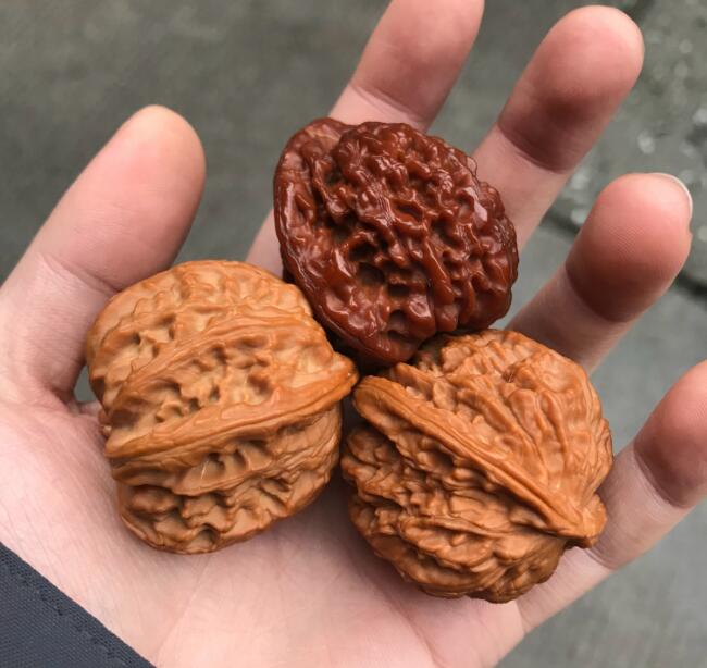 ����100����Ƽ�ʨ��ͷͼƬ ������ҺͳԵĺ�����ʲô����