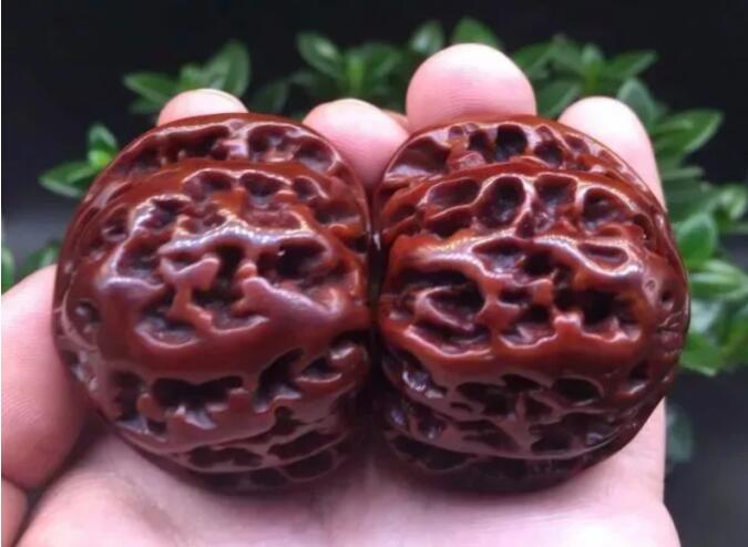 ����100����Ƽ�ʨ��ͷͼƬ ������ҺͳԵĺ�����ʲô����