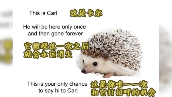 ��⬿���ʲô�� лл���������