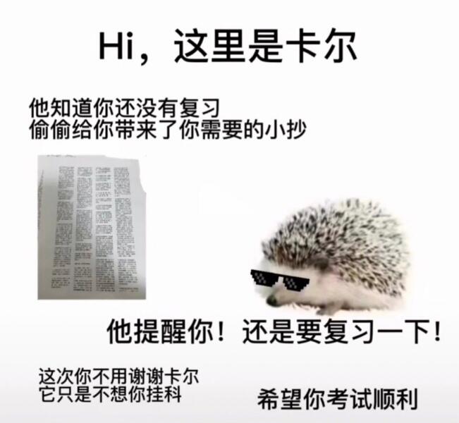 ��⬿���ʲô�� лл���������