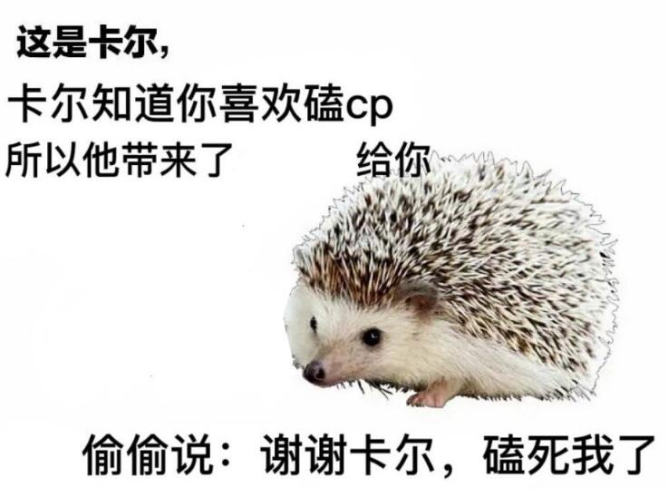 ��⬿���ʲô�� лл���������