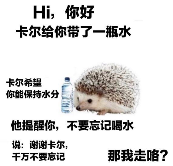 ��⬿���ʲô�� лл���������