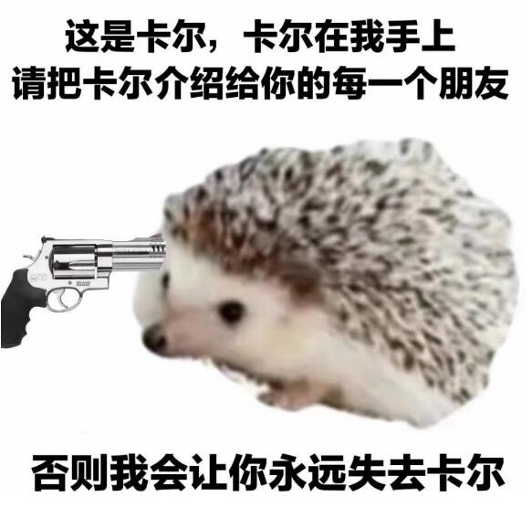 ��⬿���ʲô�� лл���������