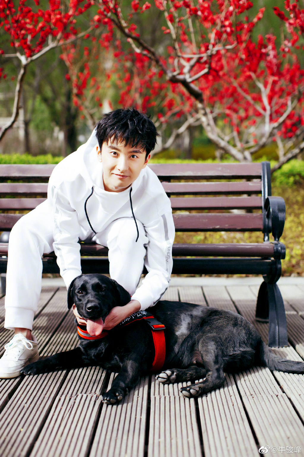 ţ����Ϊʲô���޹� �����ڵ�Ů������˭