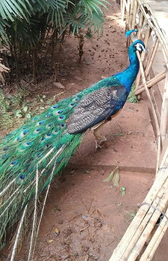 ��ȸ����ָʲô�������� ��һ�����˲������ֵı����