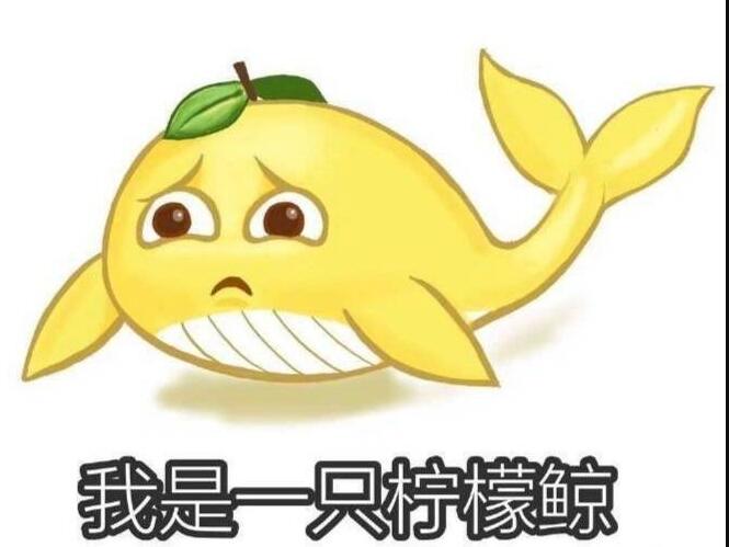 ��æ���ҳ����� ��������ʲô��˼�������