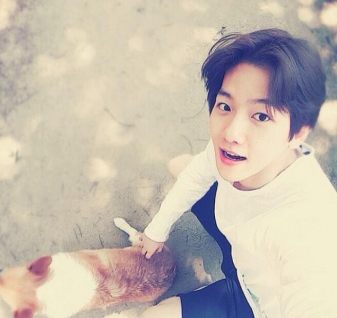 ���͹���Ϊʲô������ ������ʲôƷ�ֵĹ�