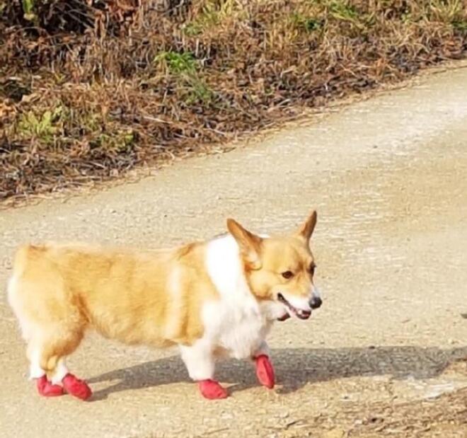 ���͹���Ϊʲô������ ������ʲôƷ�ֵĹ�