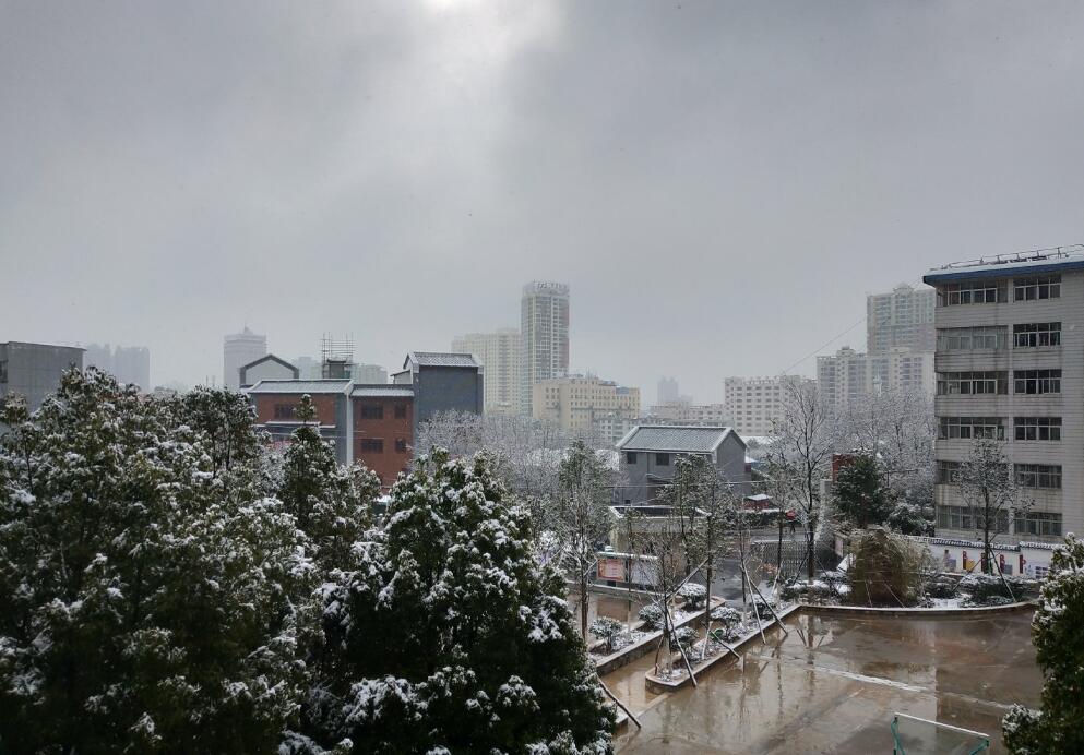 ������������ʲô˵�� �������Ԥʾ��ʲô������