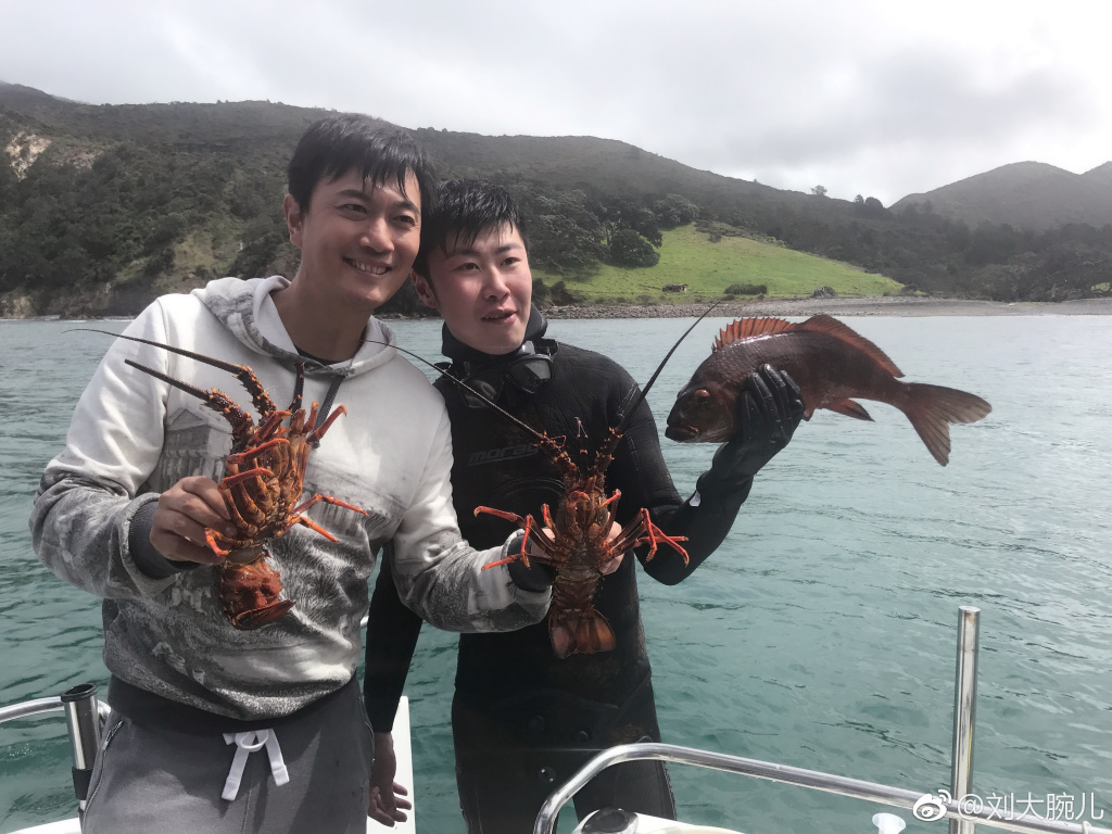 华谊高层涛姬是谁 刘韬的资料他学历很高