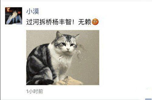 lol小智为什么消失了不火了 小智现在在哪直播了