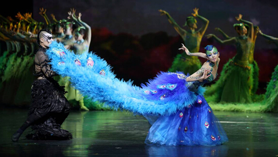 杨丽萍和金星吵架全过程 杨丽萍结婚有孩子了吗