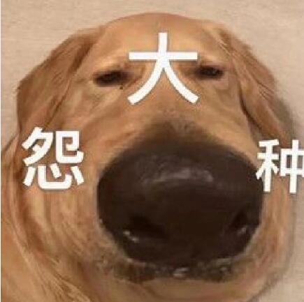 ԩ����ʲô��˼ ���Զ�������