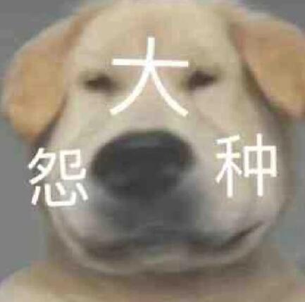 ԩ����ʲô��˼ ���Զ�������