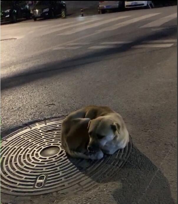 ���˹�Ϊʲôϲ�������� ��������ô������