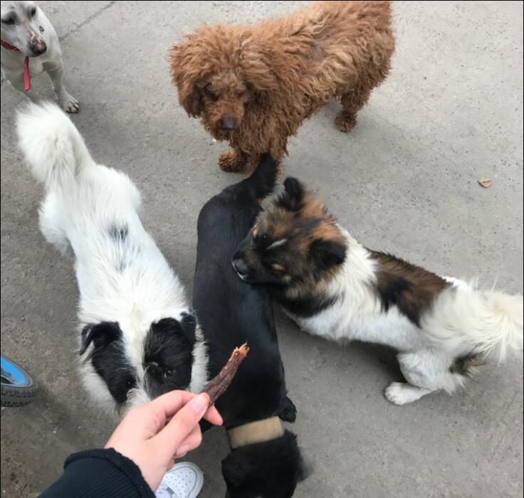 ���˹�Ϊʲôϲ�������� ��������ô������