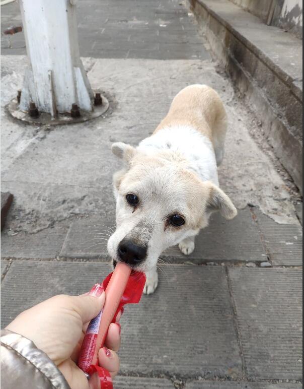 ���˹�Ϊʲôϲ�������� ��������ô������