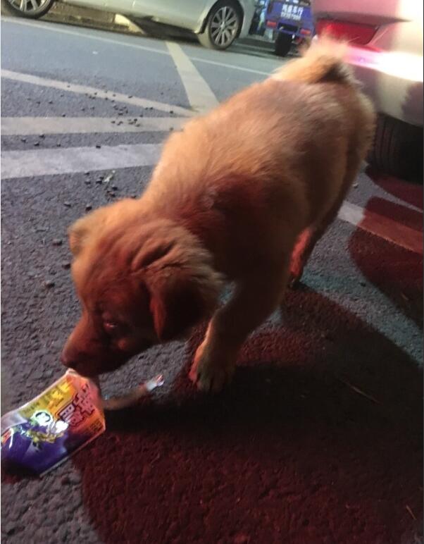 ���˹�Ϊʲôϲ�������� ��������ô������