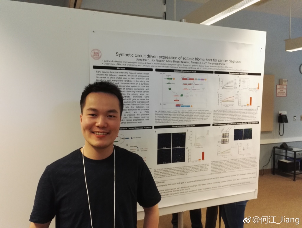 �ν�ûǮ��ô���Ĺ��� ������߿���������