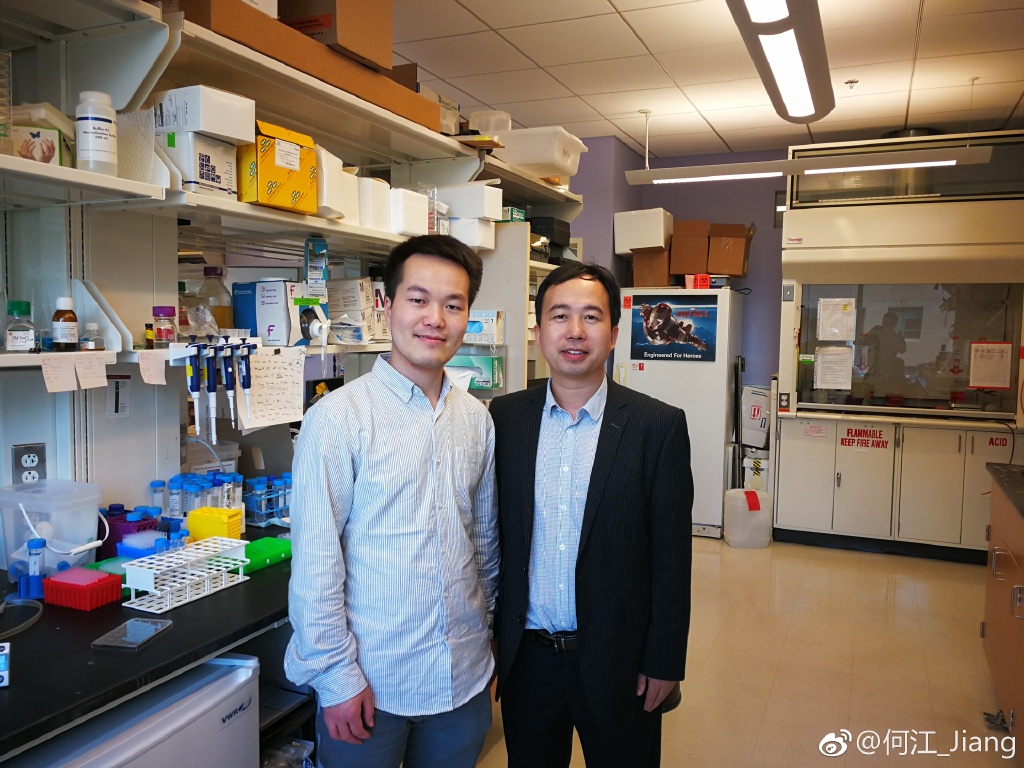 �ν�ûǮ��ô���Ĺ��� ������߿���������