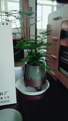 �����й���ô���ȥ �����㼸������