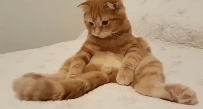 Ů�Ķ���˵hj��ʲô��˼ �е�˵hj��ʲô��˼��������