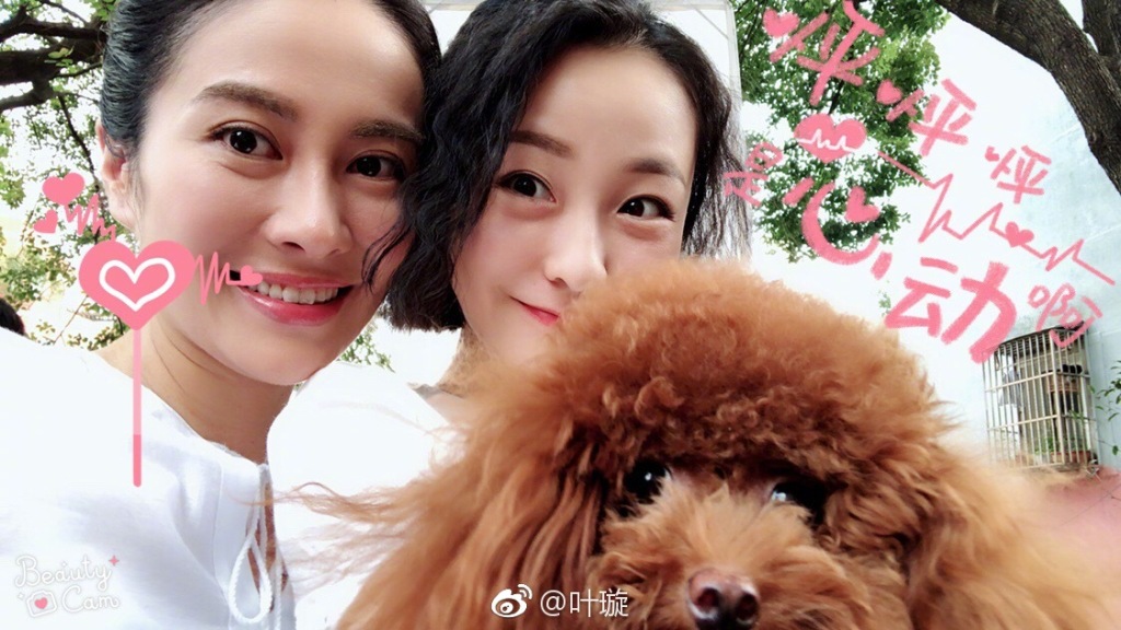 Ҷ�Ϊʲô�к��� Ҷ��廪��������˭