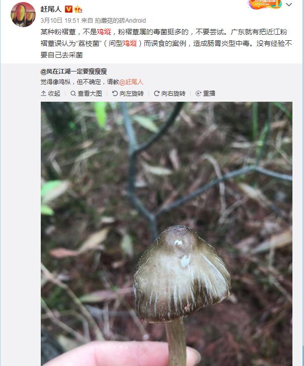 ���ݾ����ò����ж� Ұ������ͼƬ