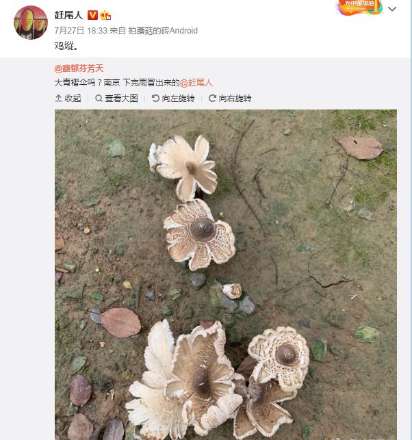 ���ݾ����ò����ж� Ұ������ͼƬ