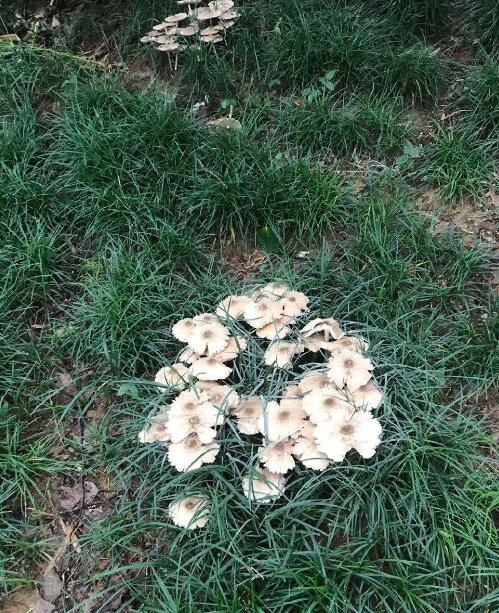 ���ݾ����ò����ж� Ұ������ͼƬ