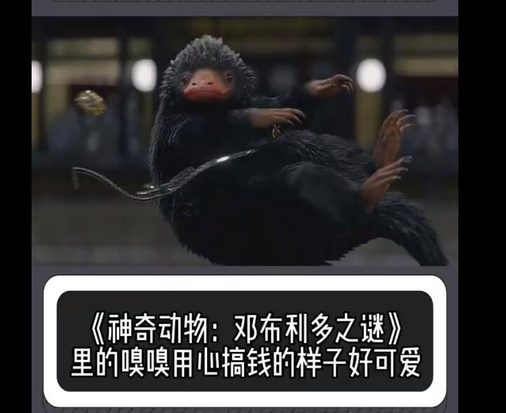 ������ʲô���� �����԰�������Ϊԭ�Ϳ̻�������