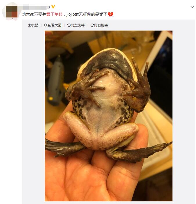 ��������Ϊʲô��ô�� �������ܷǳ�������