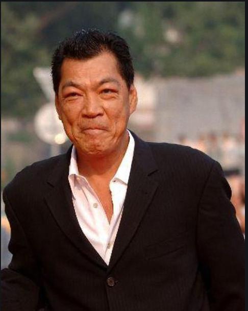 成奎安老婆是陈美芝还是冯月华 两个人照片来了-走红网