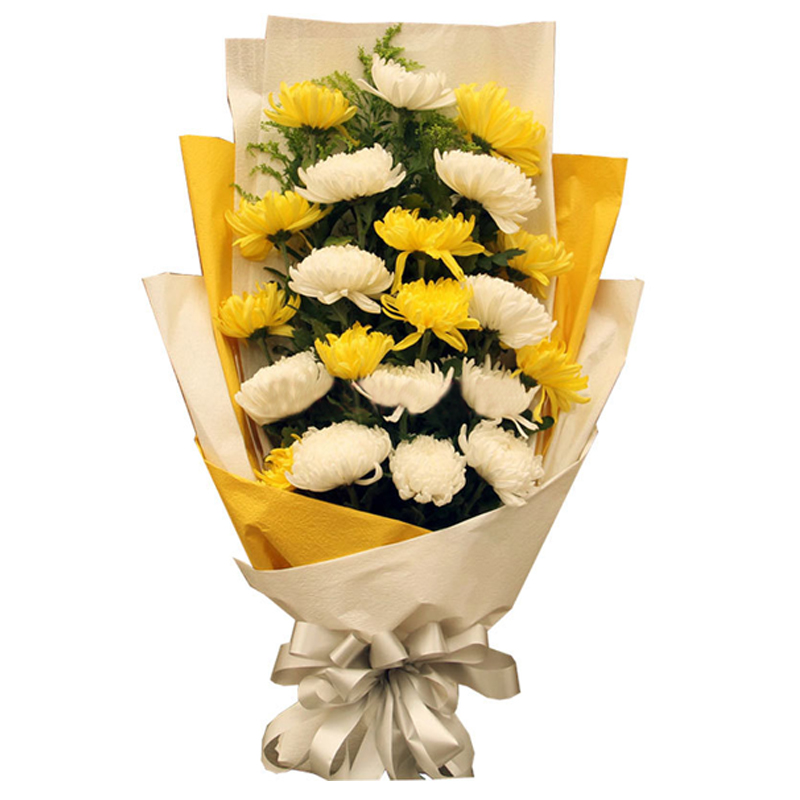 ڤ��Ϊʲô��ӡ����ӡ��� ڤ�ұ�������Ǯ����ô����