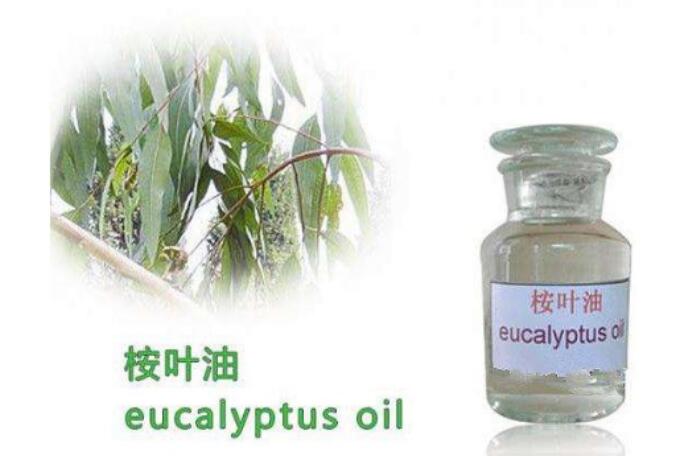 �����Ե�����Ҷ�ж��� ���������ǲ�����Ϊ�ж�