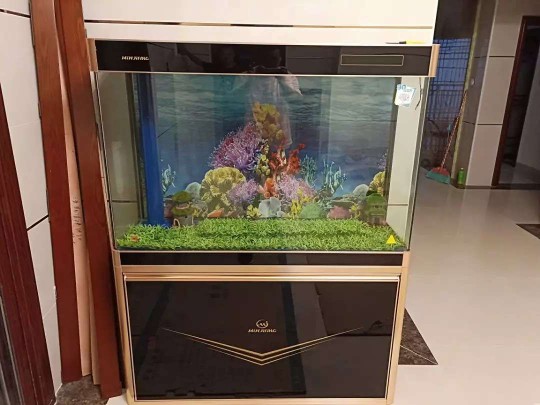 Ϊʲô���ܿ��ż���� ��ˮ���ż�ʲô���