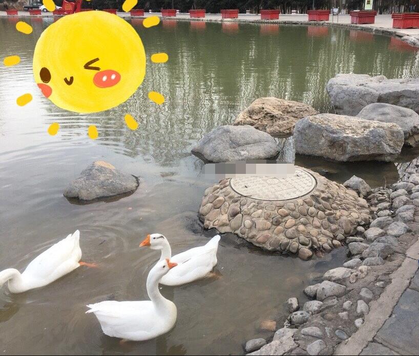 ����Ϊʲô�ж� ���������Ϊʲô��������