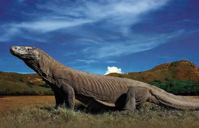 ��Ħ���������滹���� ����Ϊʲôû���