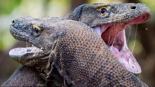 ��Ħ���������滹���� ����Ϊʲôû���