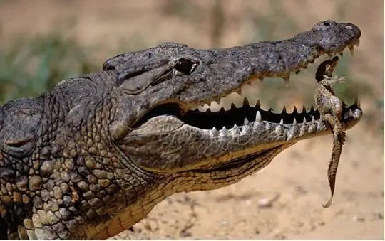 ��Ħ���������滹���� ����Ϊʲôû���